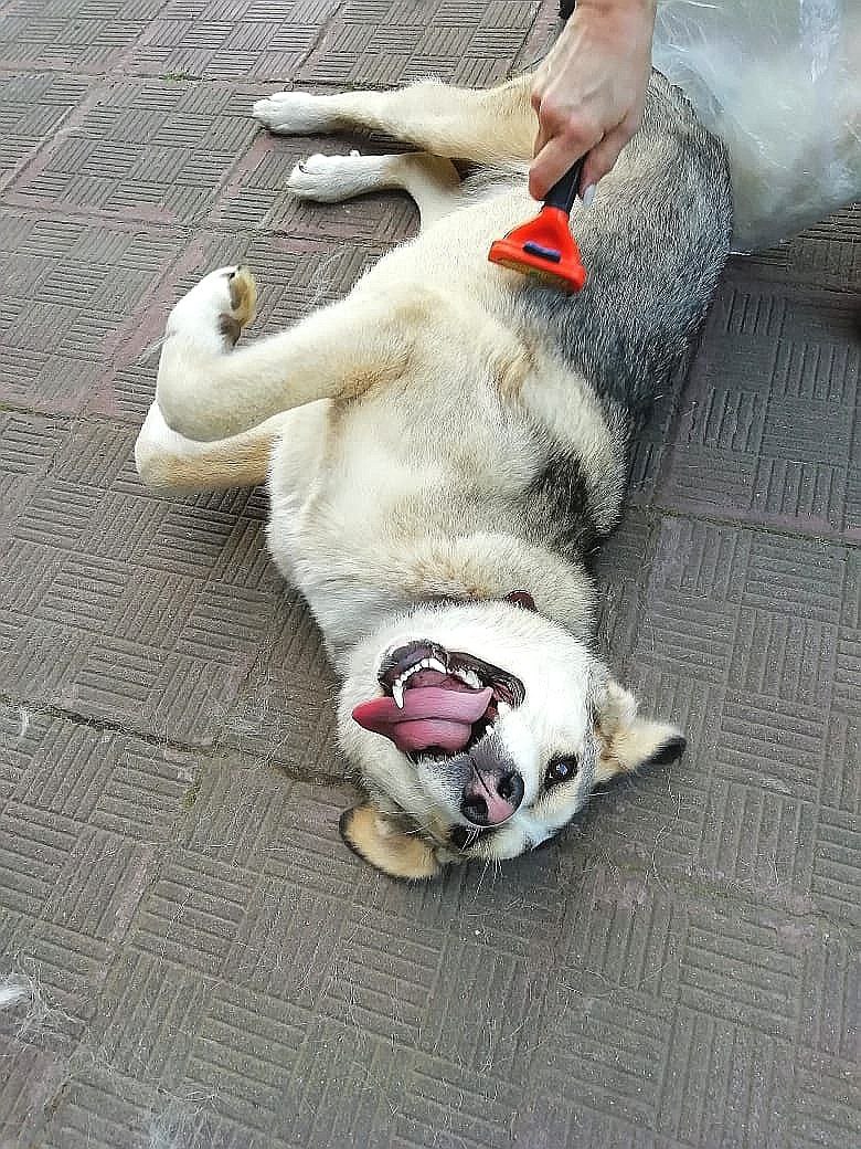 ,    , ,   .